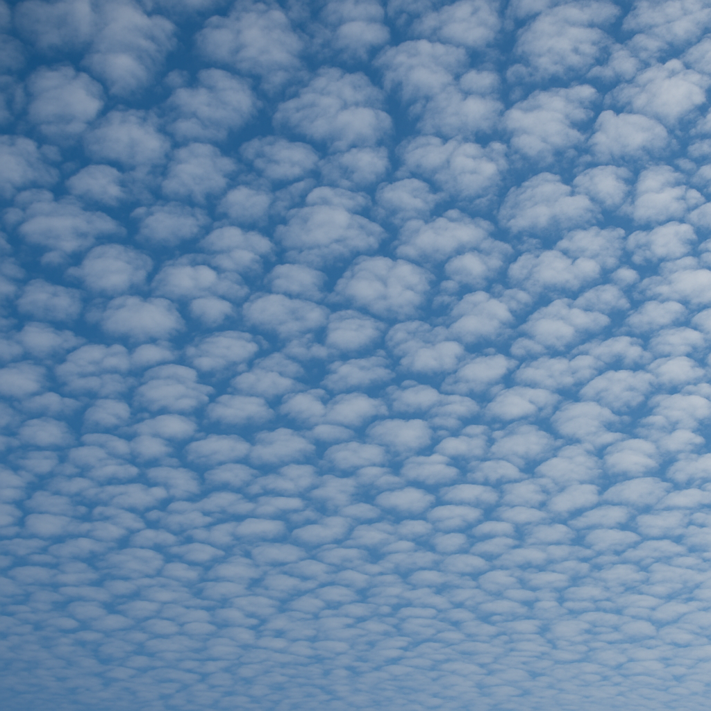 Altocumulus Wolken